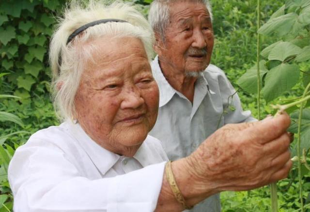 谁说长寿没征兆？50岁后能做到这5点的人，寿命一般都会比较长