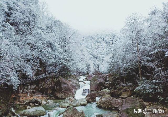 株洲迎来2020年首场瑞雪，家门口的雪景真美