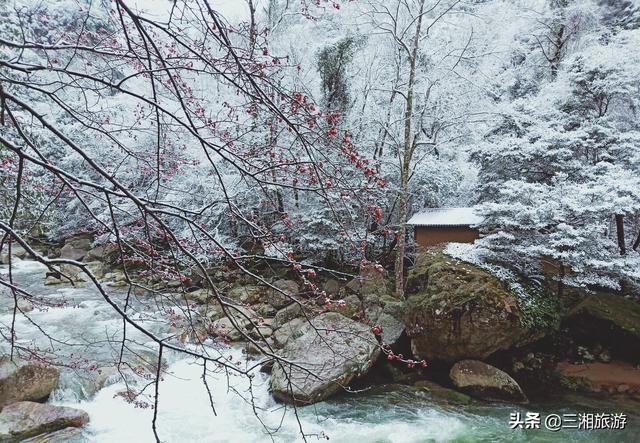 株洲迎来2020年首场瑞雪，家门口的雪景真美