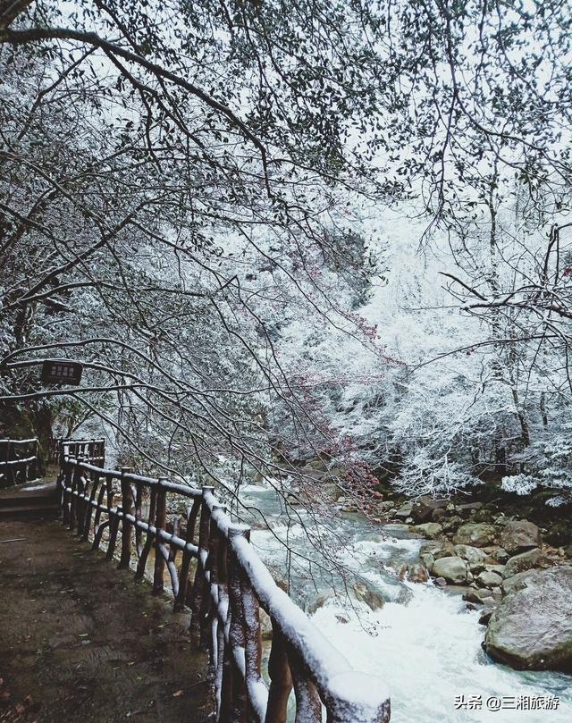 株洲迎来2020年首场瑞雪，家门口的雪景真美