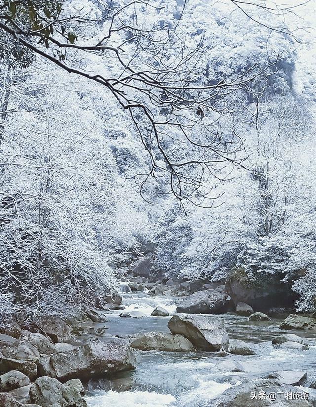 株洲迎来2020年首场瑞雪，家门口的雪景真美