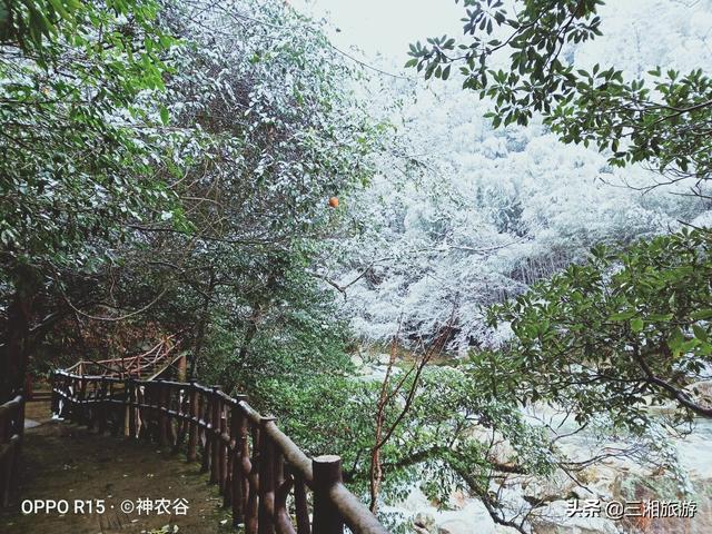 株洲迎来2020年首场瑞雪，家门口的雪景真美