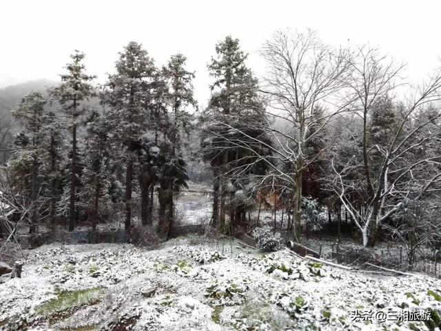 株洲迎来2020年首场瑞雪，家门口的雪景真美