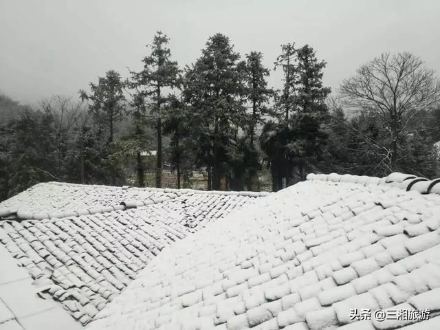 株洲迎来2020年首场瑞雪，家门口的雪景真美