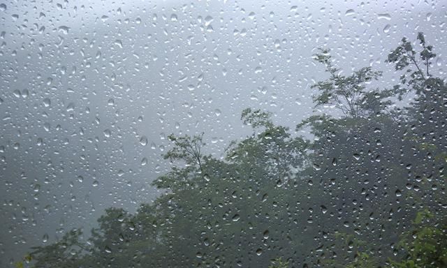 明天雨水节气，农谚：早晨落雨晚担柴，下午落雨打草鞋，啥意思