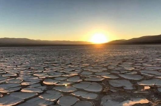 地球上最干旱的地方，出现了绿色生机，科学家为什么却感到担忧？