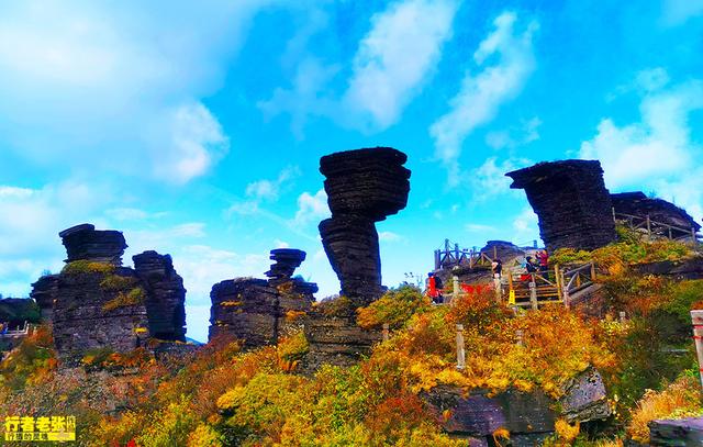 中国第53项世界遗产，贵州梵净山，又被评为全球最值得旅游目的地