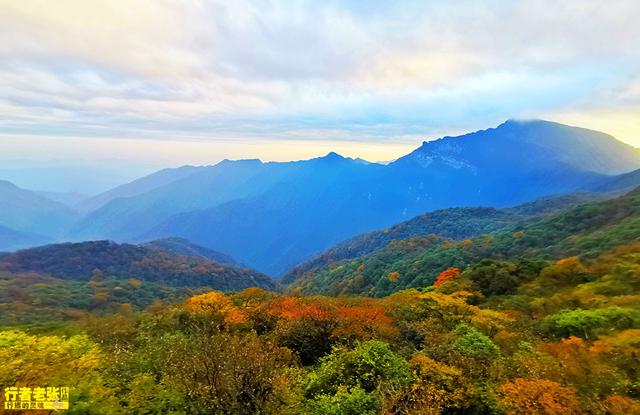 中国第53项世界遗产，贵州梵净山，又被评为全球最值得旅游目的地