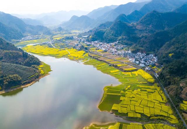 千岛湖成为全国第一个被解禁的城市，这里最先呼吸上了新鲜的空气