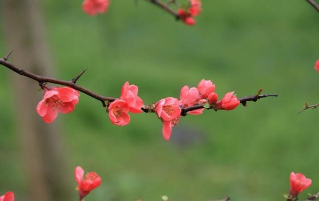 坎坎坷坷的人生，平平淡淡的生活，才是人生常理