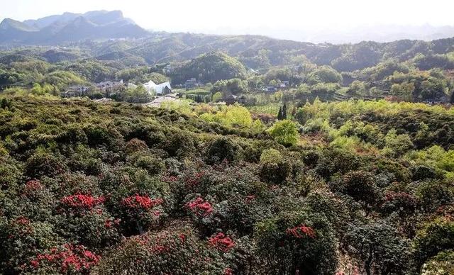 这里是中国唯一入选《孤独星球》的世界最佳旅行地