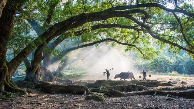 福建这6处景点，个个低调又绝美，趁着人少赶紧走起