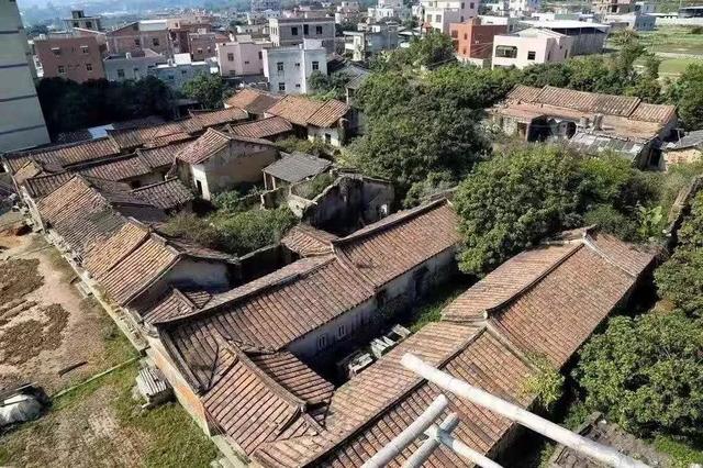 别“厝”过！红砖建筑、田园风景…厦门这座百年古厝，惊艳了时光