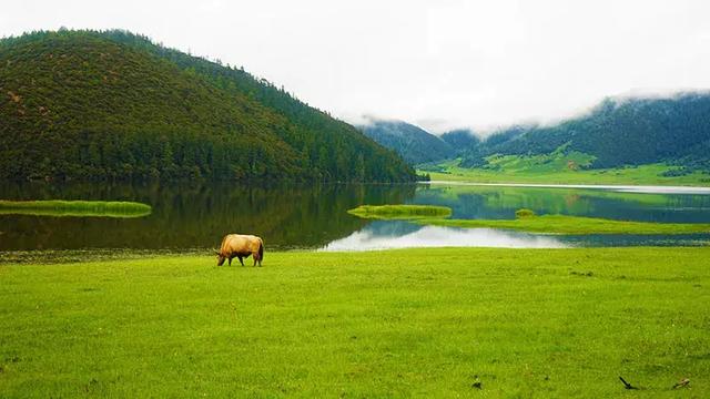 最适合初夏旅游的九个地方，遇见最“玩美”的风景