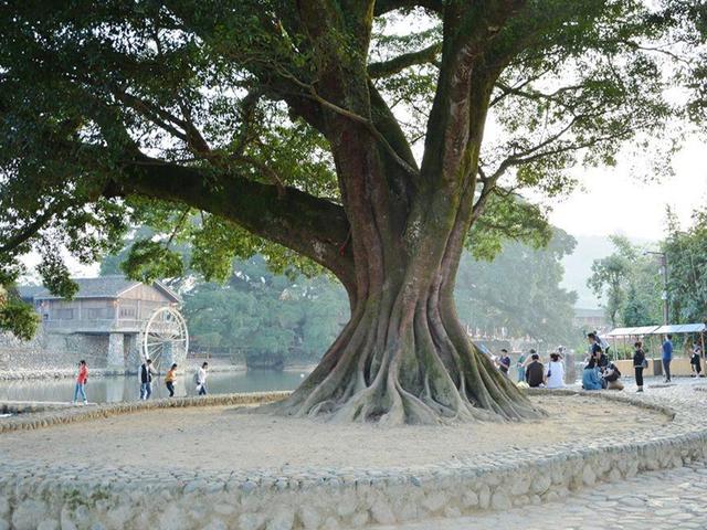 福建旅游不容错过的古镇，曾是电影拍摄地，拥有世界遗产