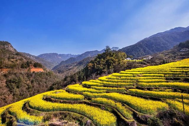 石台：三月，一起去看花！