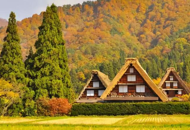 看了真实的日本农村，给我国乡村旅游旅游带来哪些启发？