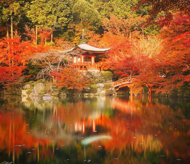 日本旅游别只惦记着樱花，醍醐寺比樱花可美多了