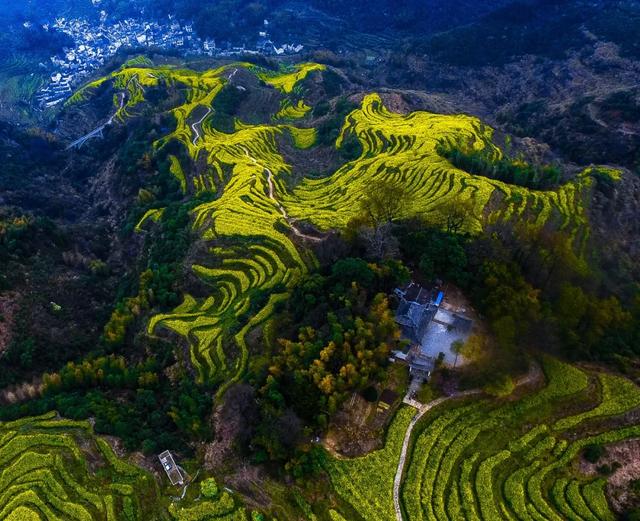 你好，我是梨白桃红、油菜花黄满山野的婺源