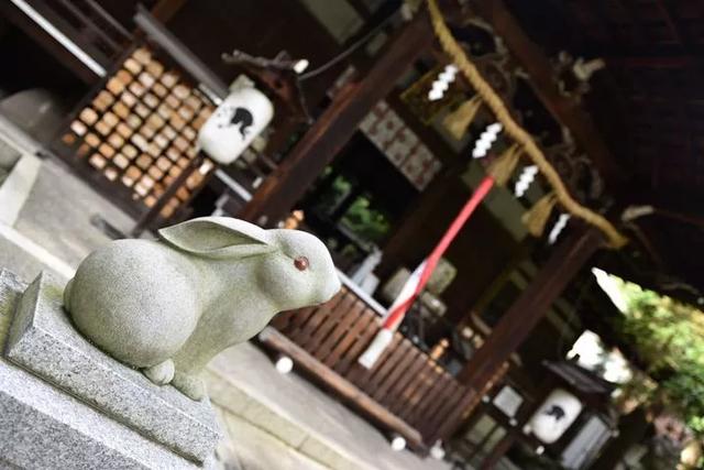 全日本最适合拍照晒图的十大神社，没人能逃过的神秘之美