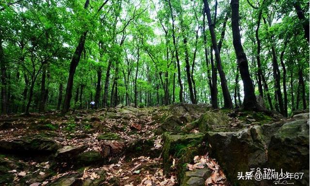 武汉十大旅游景点，去武汉旅游一定不要错过，风景美的不像话