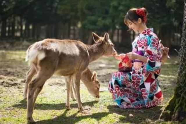 女性去日本旅游，上“透明公厕”时，该如何保护隐私呢