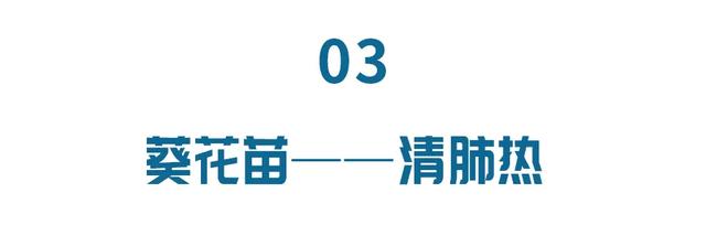 萝卜、白菜靠边站，这3种苗菜最近要常吃！清热润肺又通便