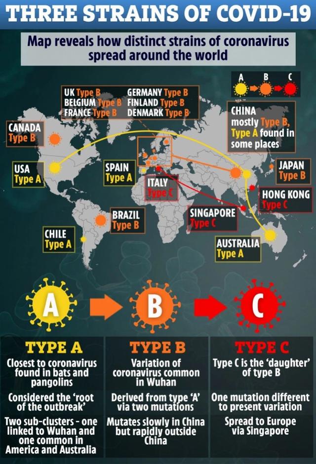 新冠病毒在全球变异成3种毒株！专家警告正在快速突变