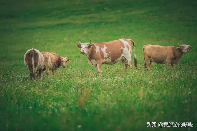 6月最佳旅行地，这10个地方让你玩的与众不同