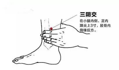 人老腿先衰，腿衰足先寒，我们就来一起了解一下脚踝部的三阴交穴