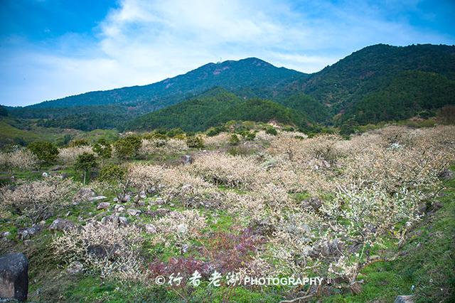 惠州不得不去的14个地方