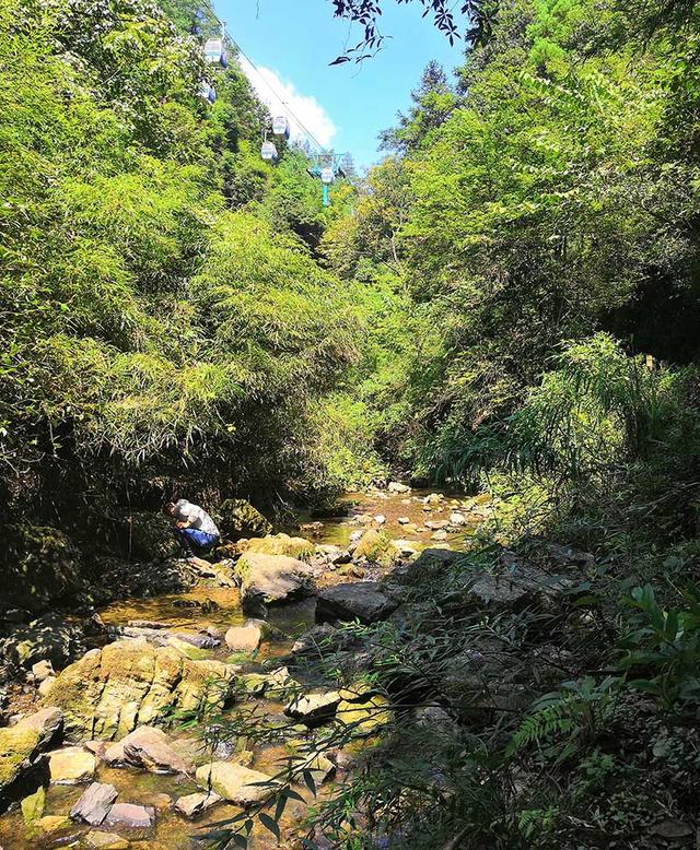 重庆旅游必去景点有哪些？重庆最热门景点大全