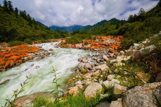 这才是四川最美7大景点，景美人还少，去过5个的都是老司机！