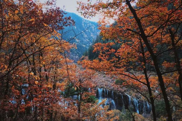 这才是四川最美7大景点，景美人还少，去过5个的都是老司机！