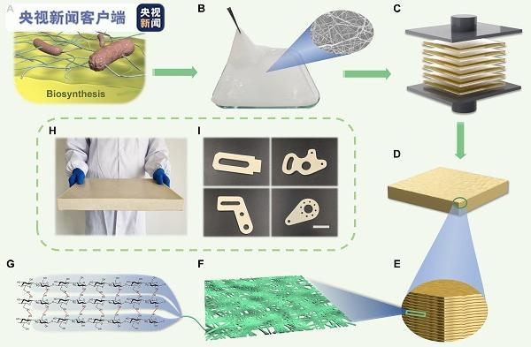 △纤维素纳米纤维结构材料（CNFP）的制备过程、结构示意图、样品照片和可加工性能展示