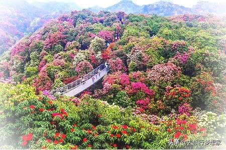 贵州十大旅游景点攻略，好山好水好风光，夏天避暑好去处！