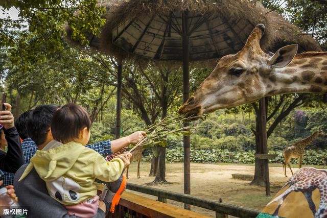 中国旅游日来了，去哪儿旅游？6类主题公园推荐，你去过几个？