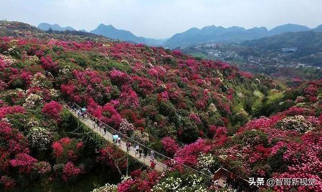 贵州旅游必去的景点！