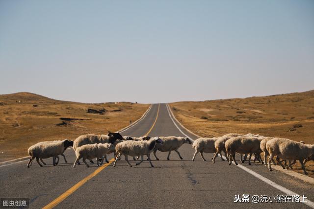 一种新的旅游方式，正悄悄改变我们的旅游