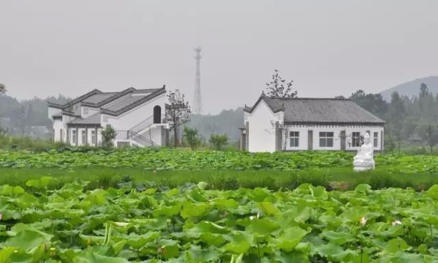 河南最适合自驾的八大景区：人少景美，有4个还不要门票！