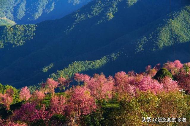 11月去这10个地方旅行 | 美到你不想回家