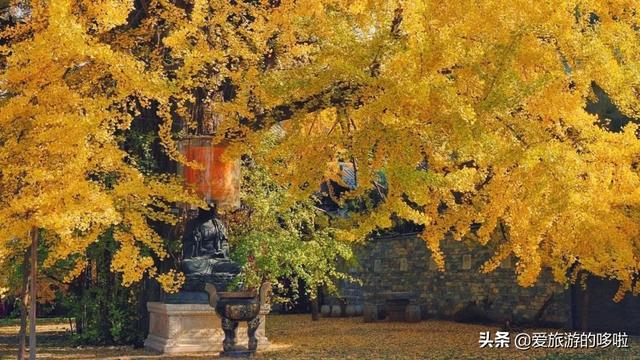 11月去这10个地方旅行 | 美到你不想回家