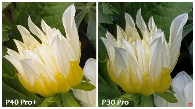 华为P40Pro＋和华为P30Pro拍照对比：都是旗舰到底要不要升级？