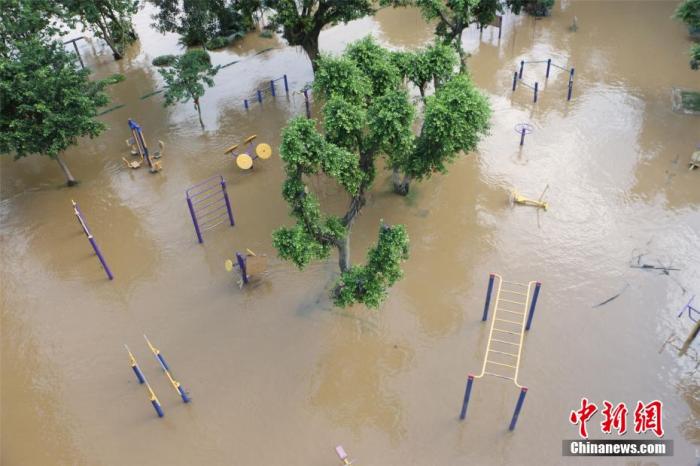 资料图：6月11日，广西柳江柳州市区河段洪水复涨，迎来本月第三轮超警戒水位洪峰。林馨 摄