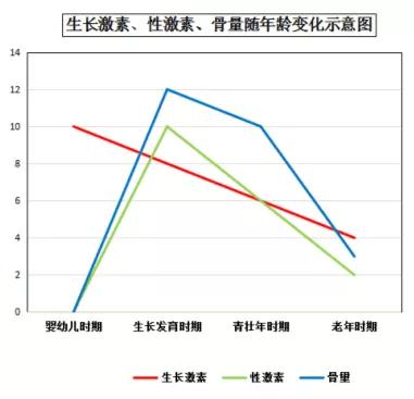 步入中年 才知道骨骼的重要性