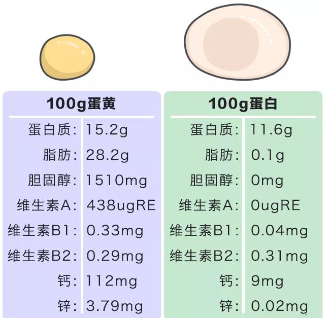 被冤枉的鸡蛋黄告诉你：一天最多可以吃几个鸡蛋？