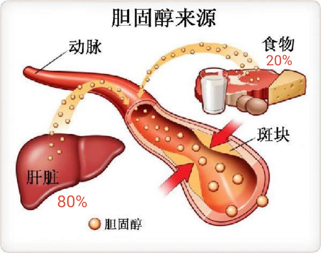 常吃全蛋(含蛋黄)对健康到底是有利，还是不利？医生一文说清楚