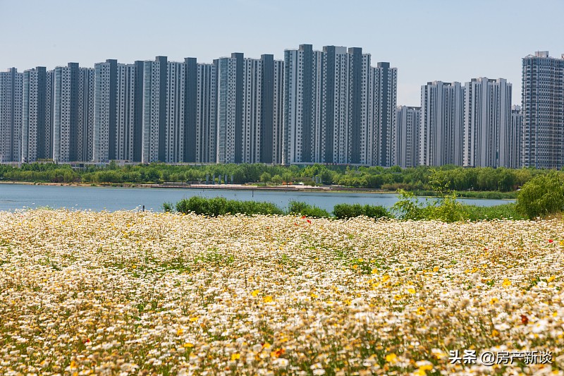 10年后，楼市面临的难题不再是房价，而是3个新难题，需了解