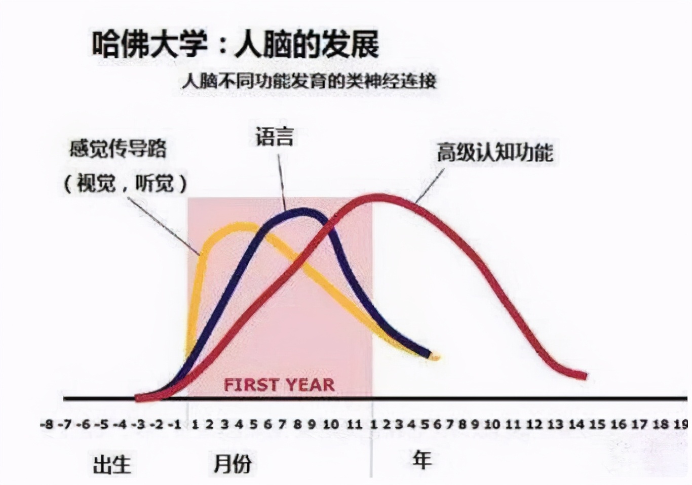 孩子3岁前有这三种“怪癖”，暗示脑力超常，长大多半是学习的料