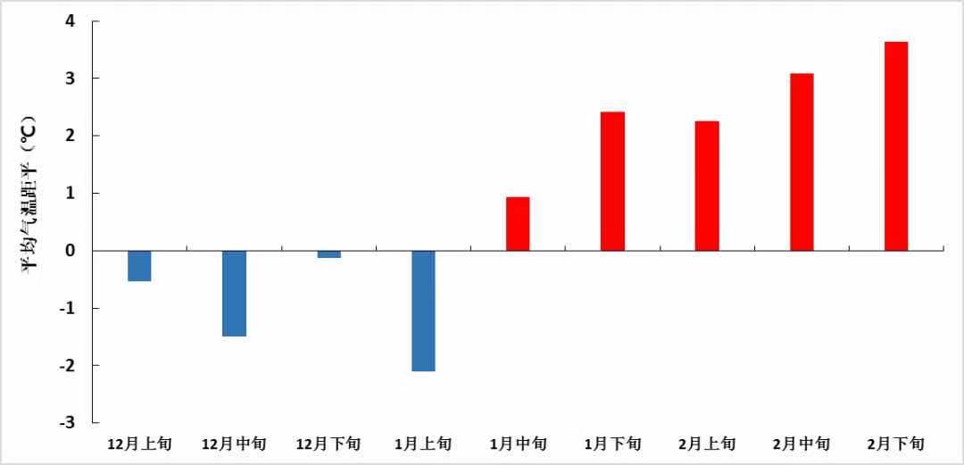 2020/2021年冬季全国平均气温距平逐旬变化